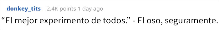 Los osos no paraban de acudir a estas colmenas para robar miel, así que el dueño decidió convertirlos en catadores de miel