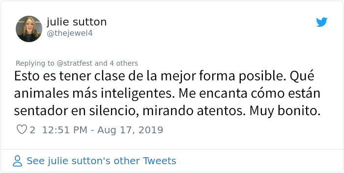 Estos perros de servicio asistieron al musical de Billy Elliot para aprender a comportarse en un teatro