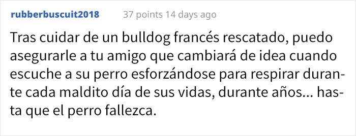 Esta comparación de cráneos de perro muestra por qué es crueldad animal adquirir pugs de pura raza