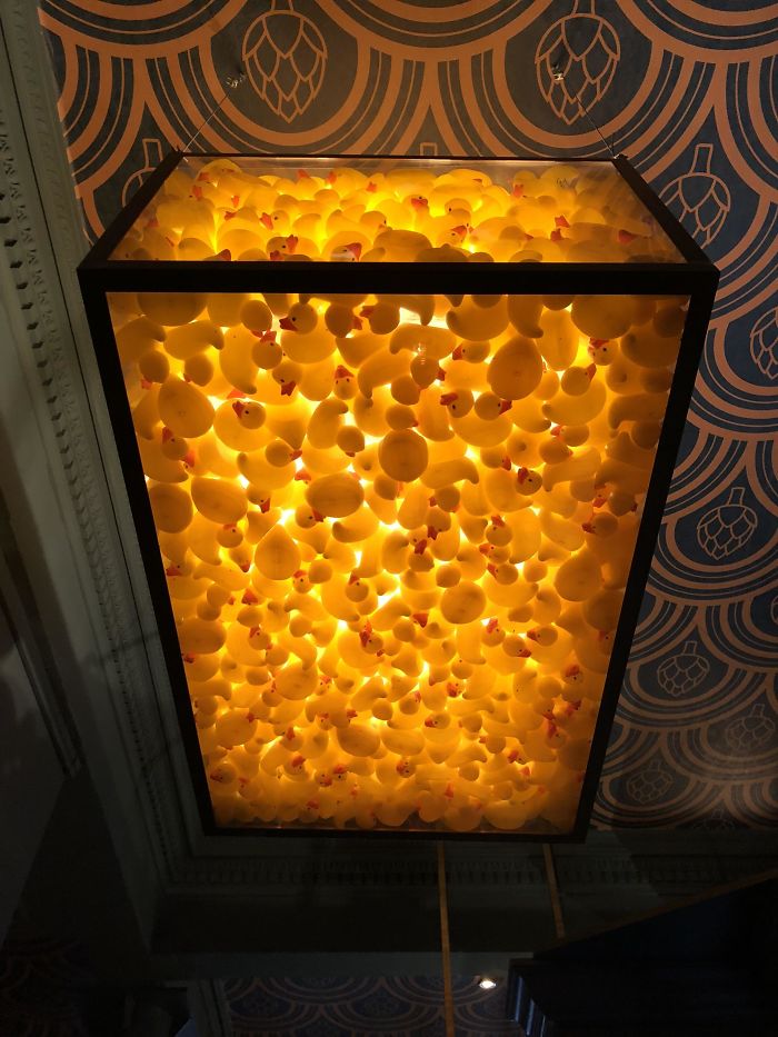 La Luz Del Techo Está Llena De Patitos De Goma En Este Pub De Edimburgo
