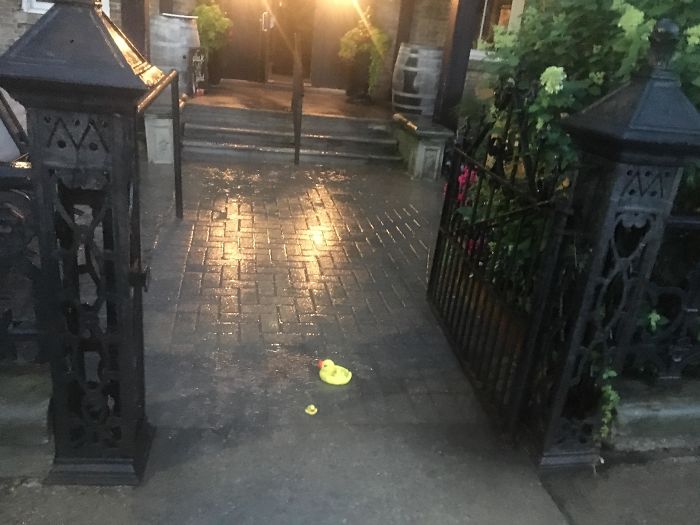 En Este Pub Ponen Patitos De Goma En Los Charcos Para Avisar A Los Clientes
