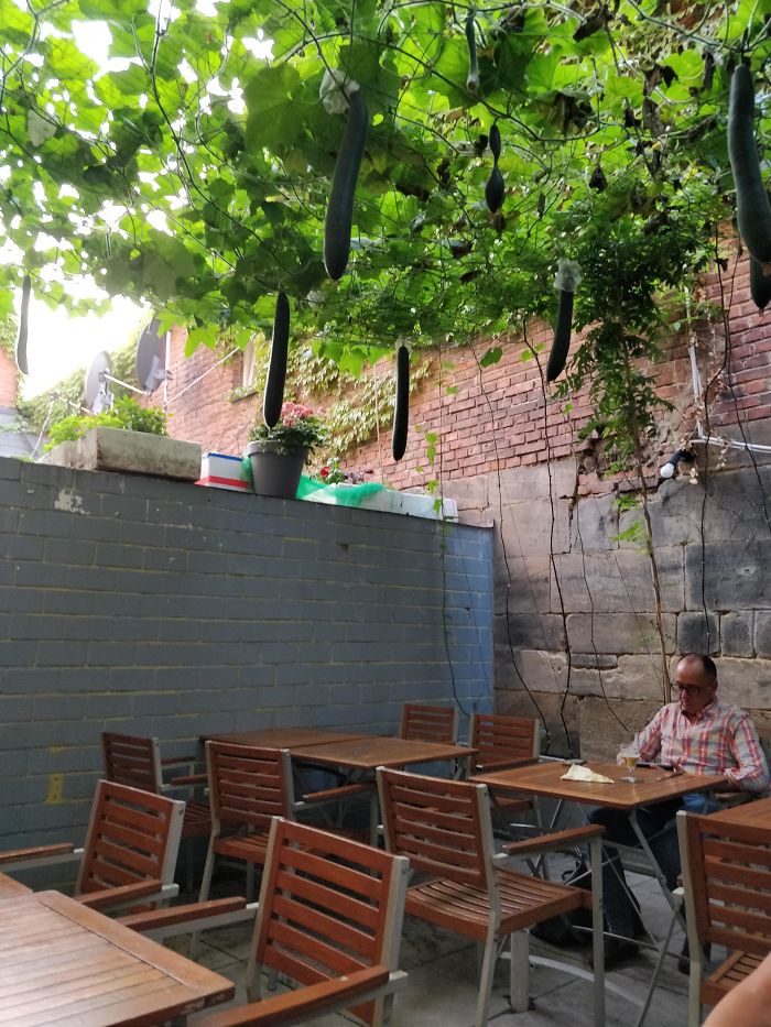 Restaurante Tailandés Cubierto Con Plantas De Lufa