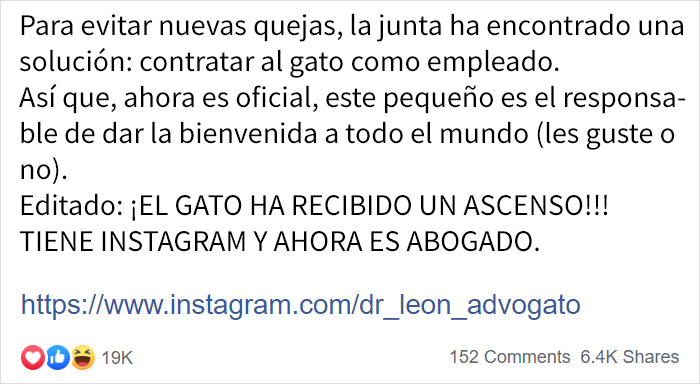 La gente comenzó a presentar quejas sobre un gatito callejero que se coló en un despacho de abogados, así que lo contrataron