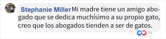 La gente comenzó a presentar quejas sobre un gatito callejero que se coló en un despacho de abogados, así que lo contrataron