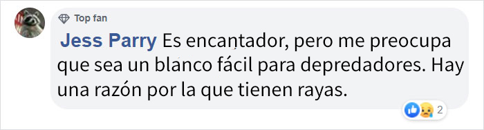 Este potrillo de cebra ha nacido con lunares en vez de rayas