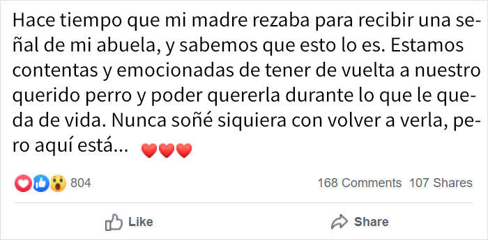 Esta mujer adoptó a un perro anciano porque se parecía al cachorro de su infancia, y se dio cuenta de que era el mismo