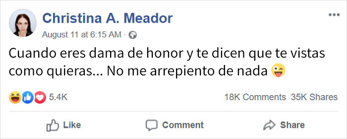Esta dama de honor apareció en la boda de su hermana disfrazada de Tiranosaurio Rex