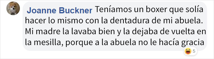 Esta familia pasó horas buscando la dentadura perdida de la abuela, hasta que la encontraron en la boca del perro
