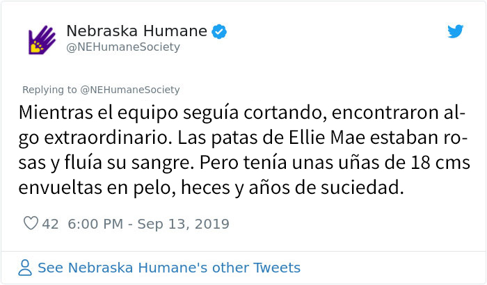 Este perro no podía ni moverse a causa de su pelaje extremadamente enredado, pero consiguieron salvar su vida