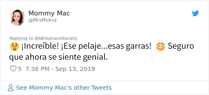 Este perro no podía ni moverse a causa de su pelaje extremadamente enredado, pero consiguieron salvar su vida