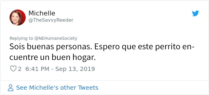Este perro no podía ni moverse a causa de su pelaje extremadamente enredado, pero consiguieron salvar su vida