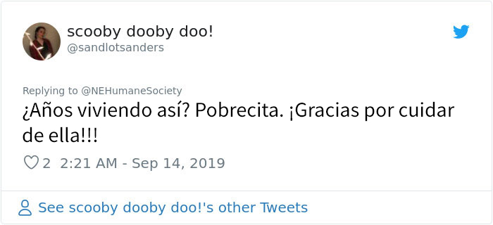 Este perro no podía ni moverse a causa de su pelaje extremadamente enredado, pero consiguieron salvar su vida