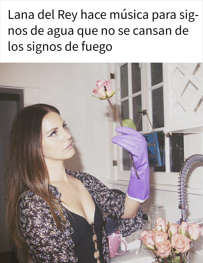 Crean 14 memes que resumen cómo es la audiencia de ciertos músicos, y a la gente no le gusta