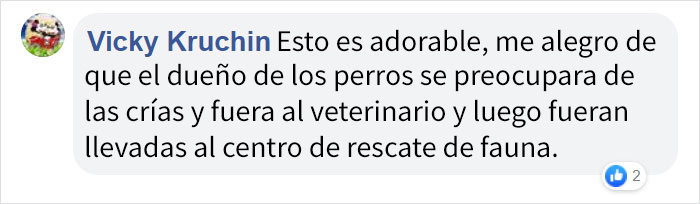 Esta dueña encontró a una cría de zarigüeya colgada del lomo de su perro