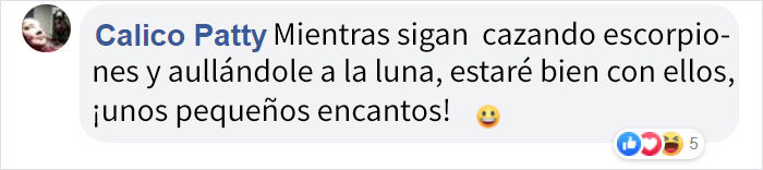 Este es el ratón más hardcore que hayas visto: caza escorpiones y aúlla a la luna