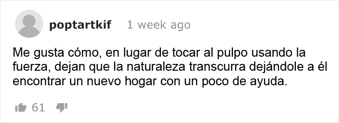 Buzo convence a un pulpo bebé para que abandone su vaso de plástico y lo cambie por una concha