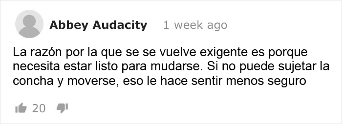 Buzo convence a un pulpo bebé para que abandone su vaso de plástico y lo cambie por una concha