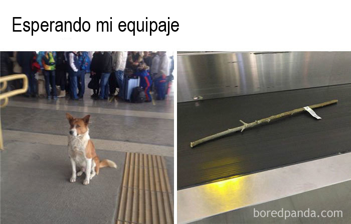 30 Airport And Travel Memes For Everyone Who Has Traveled At Least Once