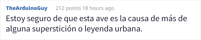 El águila harpía es un ave tan grande que hay quien cree que es una persona disfrazada