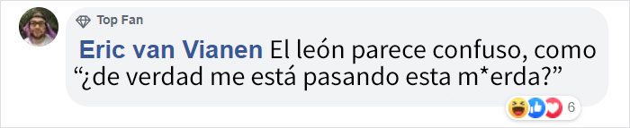 Esta mujer se metió en el recinto de un león, demostrando su estupidez