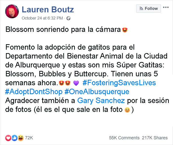 Gatita Adoptada Da La Sonrisa Más Linda Durante Una Sesión De Fotos Y Todo Internet Se Enamora