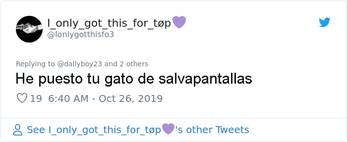 Gatita Adoptada Da La Sonrisa Más Linda Durante Una Sesión De Fotos Y Todo Internet Se Enamora