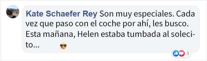 Helen es una bisonte ciega, solitaria e ignorada por los demás animales... hasta que conoció a Oliver