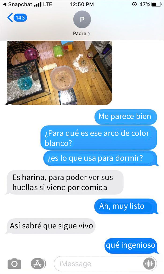 Este padre perdió el hamster de su hija, y sus mensajes de preocupación muestran lo puro que es