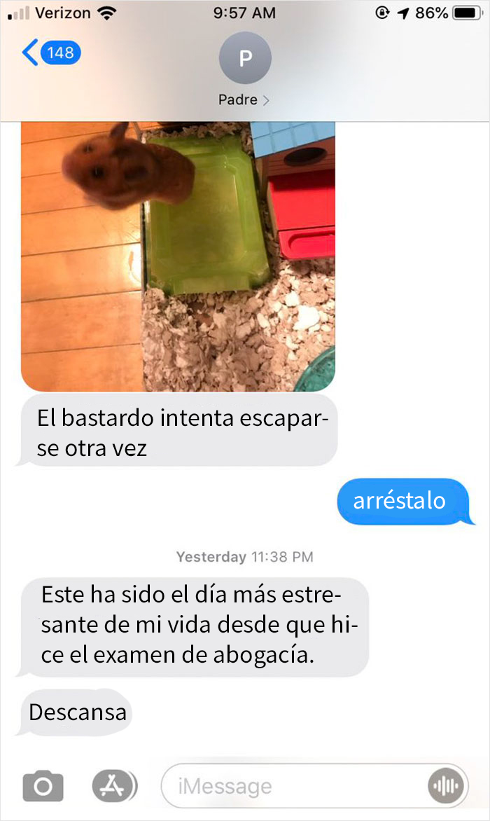 Este padre perdió el hamster de su hija, y sus mensajes de preocupación muestran lo puro que es