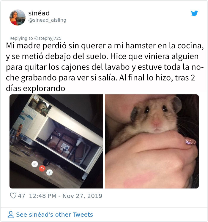 Este padre perdió el hamster de su hija, y sus mensajes de preocupación muestran lo puro que es