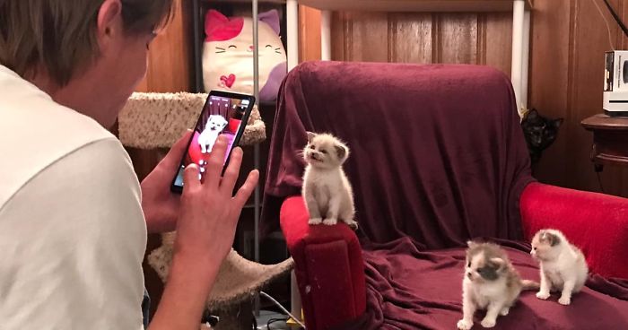 Gatita Adoptada Da La Sonrisa Más Linda Durante Una Sesión De Fotos Y Todo Internet Se Enamora