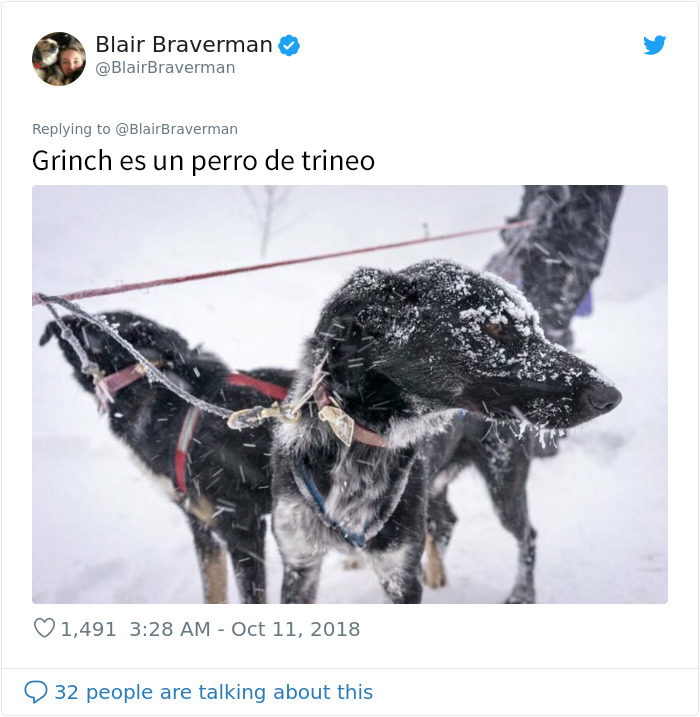 Esta mujer documentó como su perro de trineo "encantador pero tontísimo" la llevó a casa, y es graciosísimo