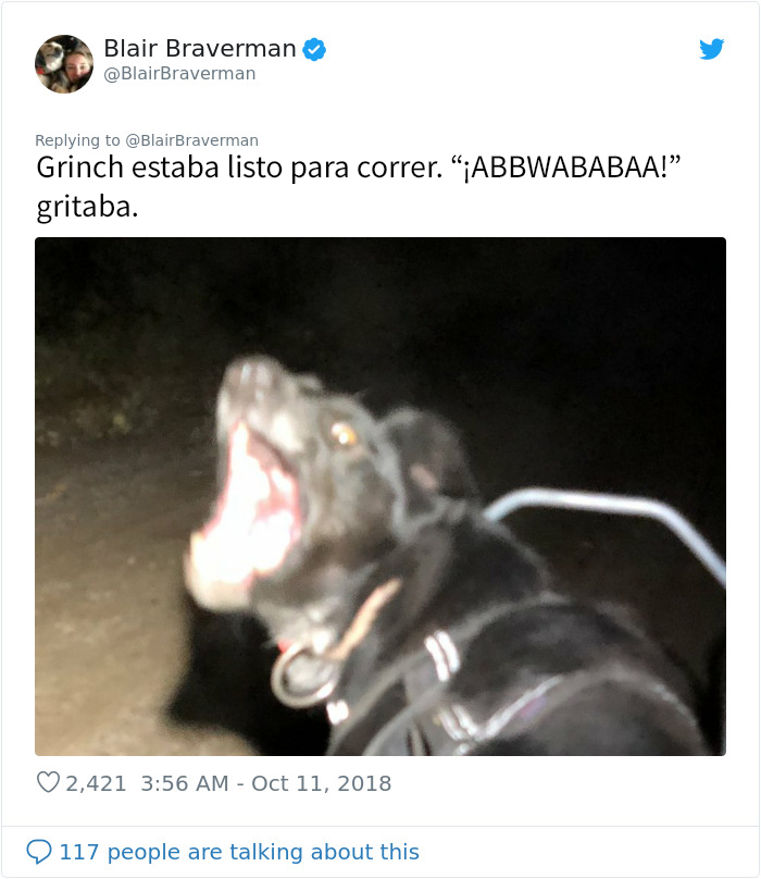 Esta mujer documentó como su perro de trineo "encantador pero tontísimo" la llevó a casa, y es graciosísimo