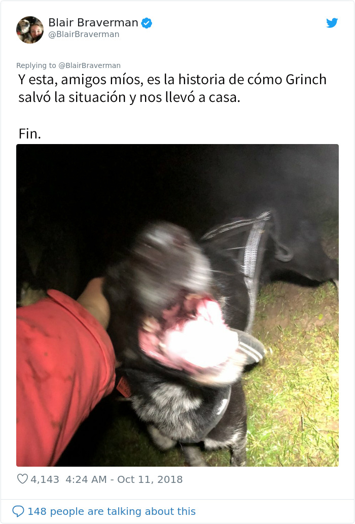 Esta mujer documentó como su perro de trineo "encantador pero tontísimo" la llevó a casa, y es graciosísimo