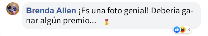 Esta mujer consiguió al fin que sus 17 mascotas posaran para una foto