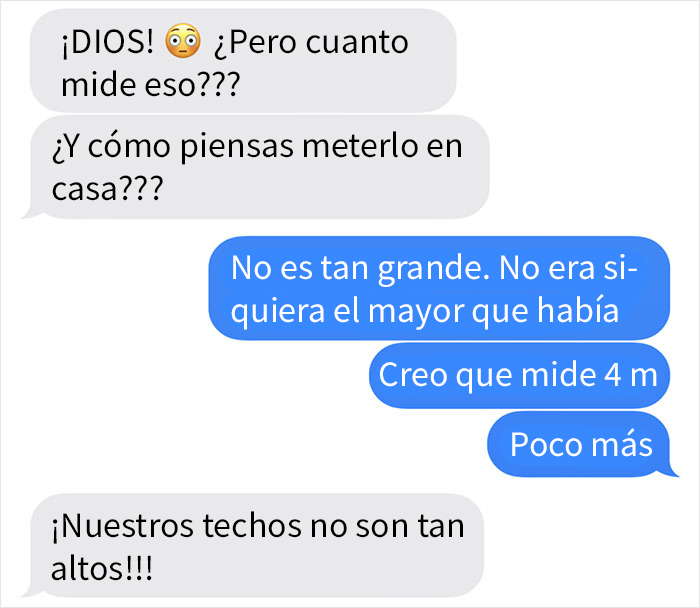 Este marido fue sin su esposa a comprar un árbol de Navidad, y decidió trolearla