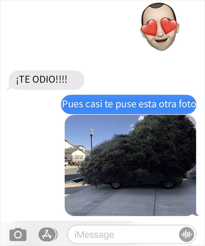 Este marido fue sin su esposa a comprar un árbol de Navidad, y decidió trolearla