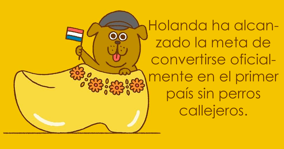 Estoy harto de malas noticias, así que he ilustrado algunas de las mejores noticias de 2019