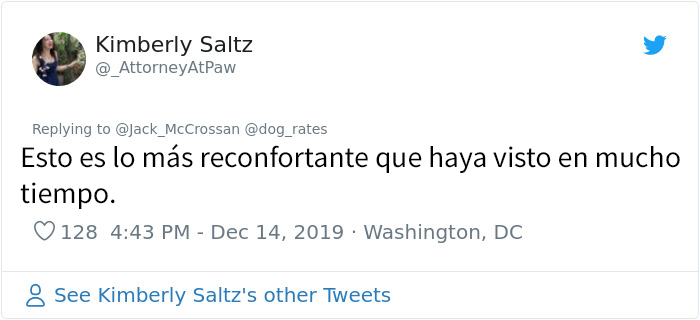 4 Chicos piden a su vecino que les deje jugar con su perro, y reciben una honesta carta en respuesta