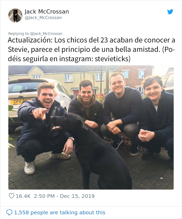 4 Chicos piden a su vecino que les deje jugar con su perro, y reciben una honesta carta en respuesta