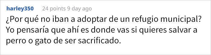 Esta chica explica la diferencia entre los refugios donde sacrifican a los animales y los que no, y es muy revelador