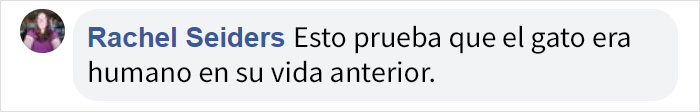 Este gato habla con acento sureño y la gente no para de verlo