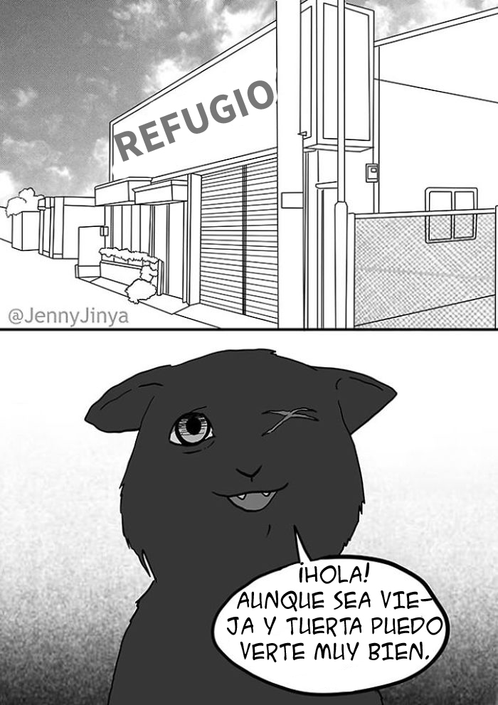 La artista responsable de hacernos llorar con el cómic del gato negro acaba de lanzar la secuela