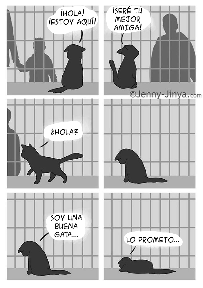 La artista responsable de hacernos llorar con el cómic del gato negro acaba de lanzar la secuela
