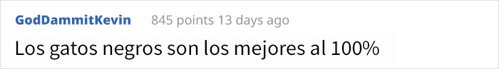 La artista responsable de hacernos llorar con el cómic del gato negro acaba de lanzar la secuela