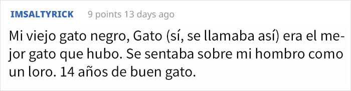 La artista responsable de hacernos llorar con el cómic del gato negro acaba de lanzar la secuela