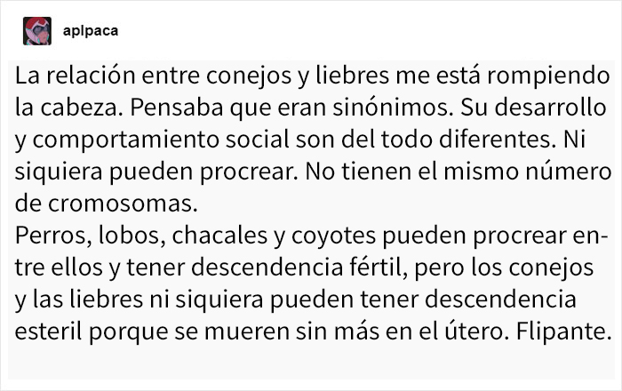 Estas sorprendentes parejas de animales tienen aspecto similar pero son genéticamente incompatibles