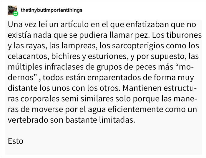Estas sorprendentes parejas de animales tienen aspecto similar pero son genéticamente incompatibles