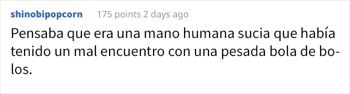 Esta gorila ha nacido sin pigmentación en los dedos y sorprende a la gente