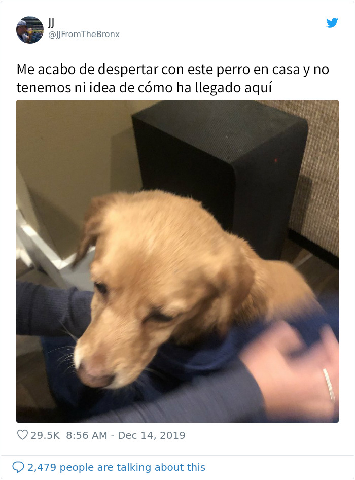 Este hombre dejó sin querer abierta la puerta de su casa y fue "elegido" por un perro callejero que se coló por la noche
